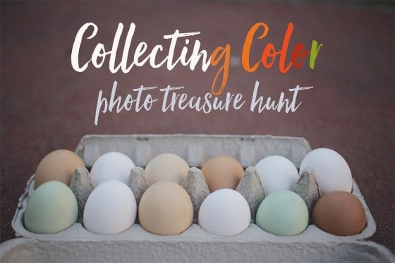 collecting_color_560