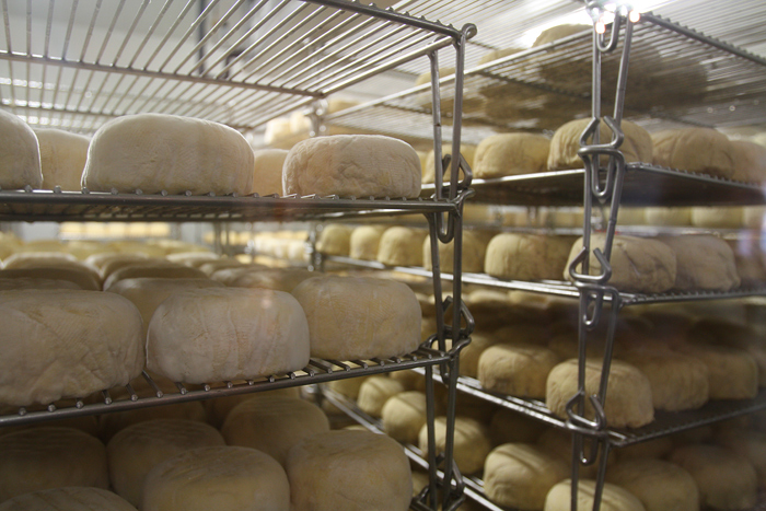 cowgirl_creamery_cheese_700