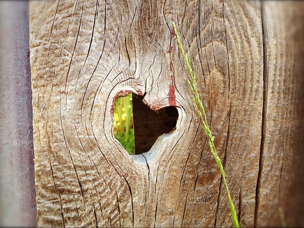 heart_shaped_hole_fence