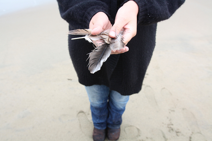 mati_feathers_700