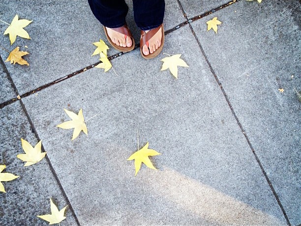 stars_at_my_feet_600