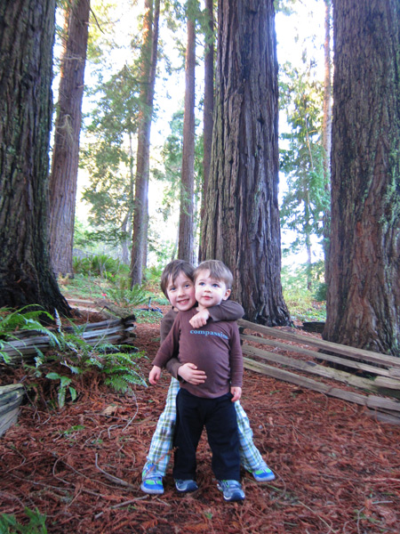 ben_nico_redwoods_hug