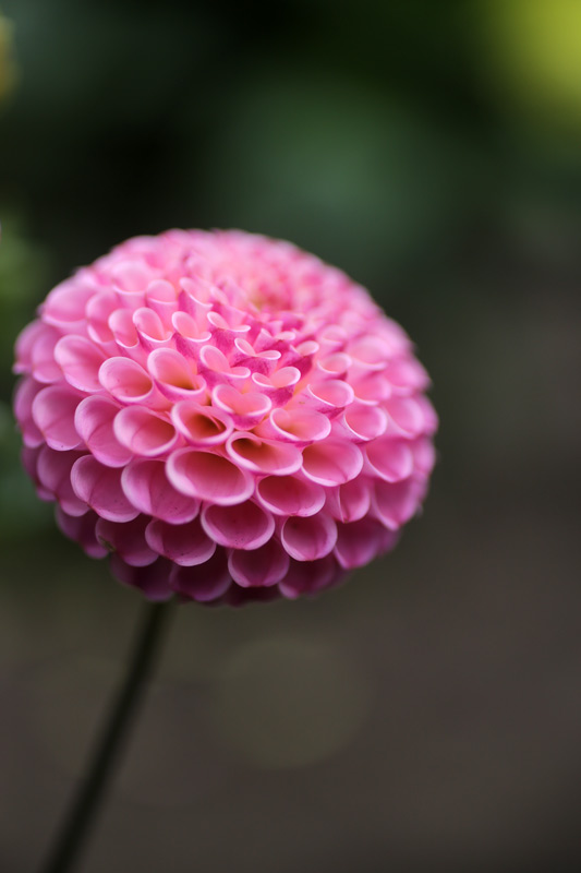 pink_ball_800