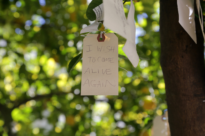wish_come_alive_again_800