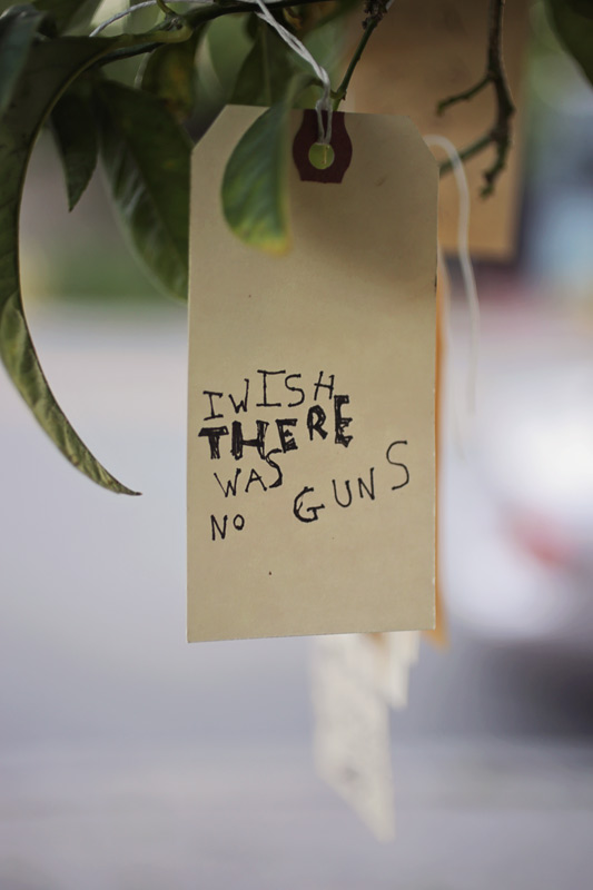 wish_no_guns_800