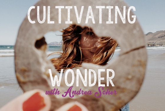 cultivating_wonder_560_centered
