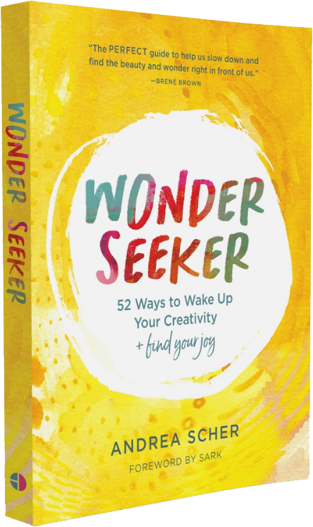 wonder-seeker-book